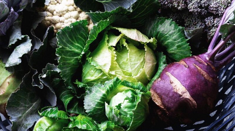 Different types of cabbage, and cauliflower, all sources of folate, in a basket