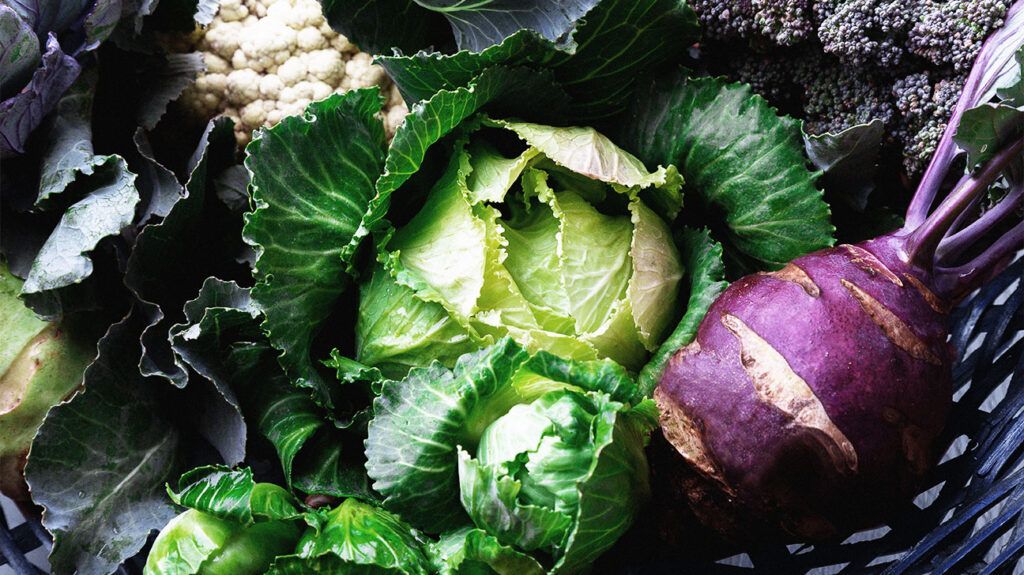 Different types of cabbage, and cauliflower, all sources of folate, in a basket